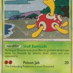 Shuckle - 11/123 (Holo)