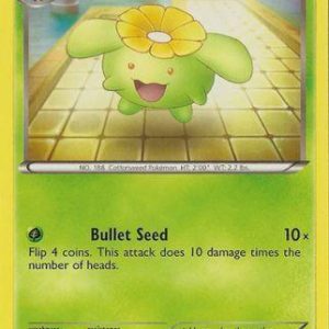 Skiploom - 2/124