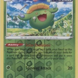 Skiploom - 3/203 - Reverse