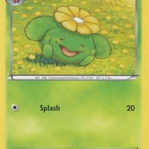 Skiploom - 4/114