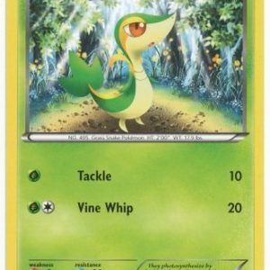 Snivy - 1/114