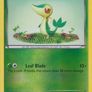 Snivy - 2/114 - Reverse
