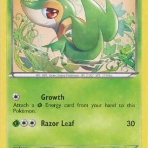 Snivy - RC1/RC25