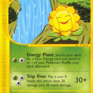 Sunflora - 105/144