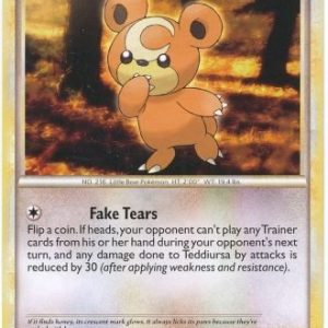 Teddiursa - 73/95