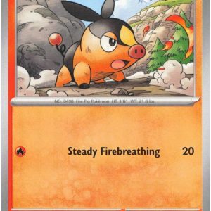 Tepig - 029/217