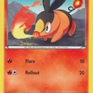 Tepig - 24/149