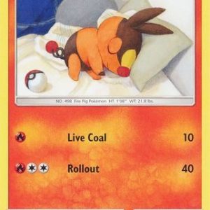 Tepig  - 31/236