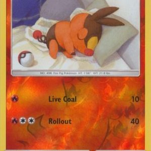 Tepig  - 31/236 - Reverse