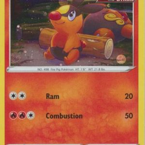 Tepig - SWSH172 - Pokemon Sword & Shield promo