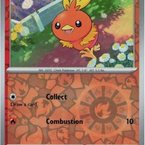 Torchic - 040/182 - Reverse