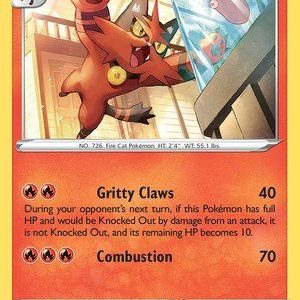 Torracat - 31/195