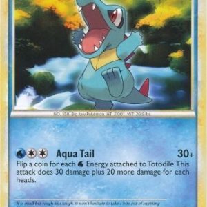 Totodile - 74/95