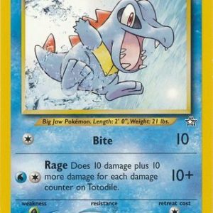 Totodile - 80/111