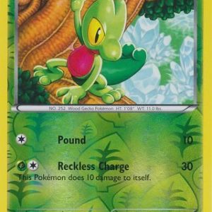 Treecko - 6/116 - Reverse