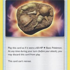 Unidentified Fossil  - 207/236