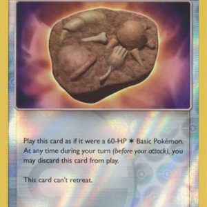 Unidentified Fossil  - 207/236 - Reverse