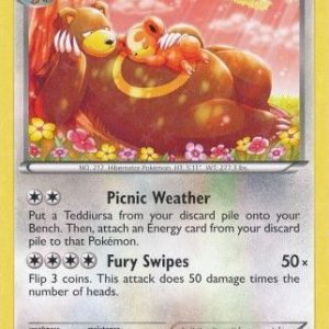 Ursaring - RC16/RC25