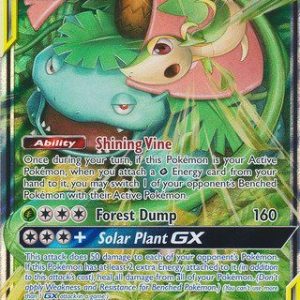 Venusaur & Snivy-GX  - 1/236