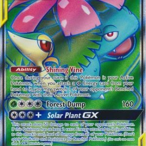 Venusaur & Snivy-GX - 210/236