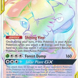 Venusaur & Snivy-GX - 249/236