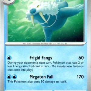 Walrein - 45/191