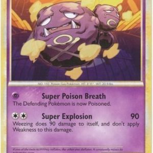Weezing - 38/95