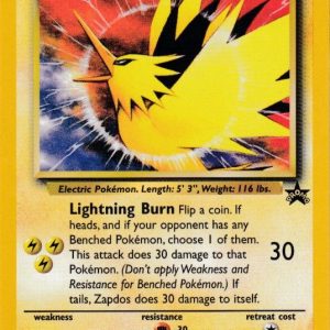 Zapdos - 23