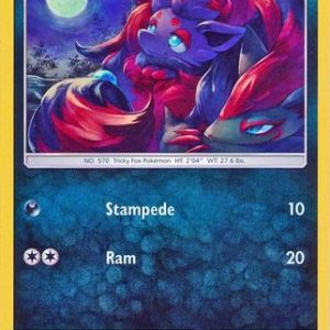 Zorua - 52/73