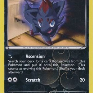 Zorua - 69/108 - Reverse