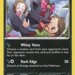 Zorua - 90/162