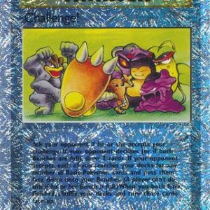 Challenge! - 106/110 - Reverse