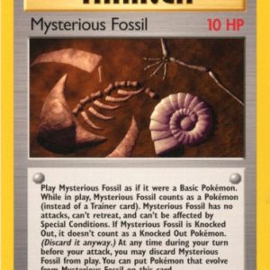 Mysterious Fossil - 109/110