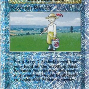 Pokémon Breeder - 102/110 - Reverse